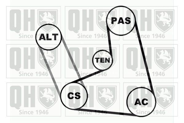 QUINTON HAZELL Moniurahihnasarja QDK22